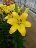 [4024 Barasso No02.JPG]